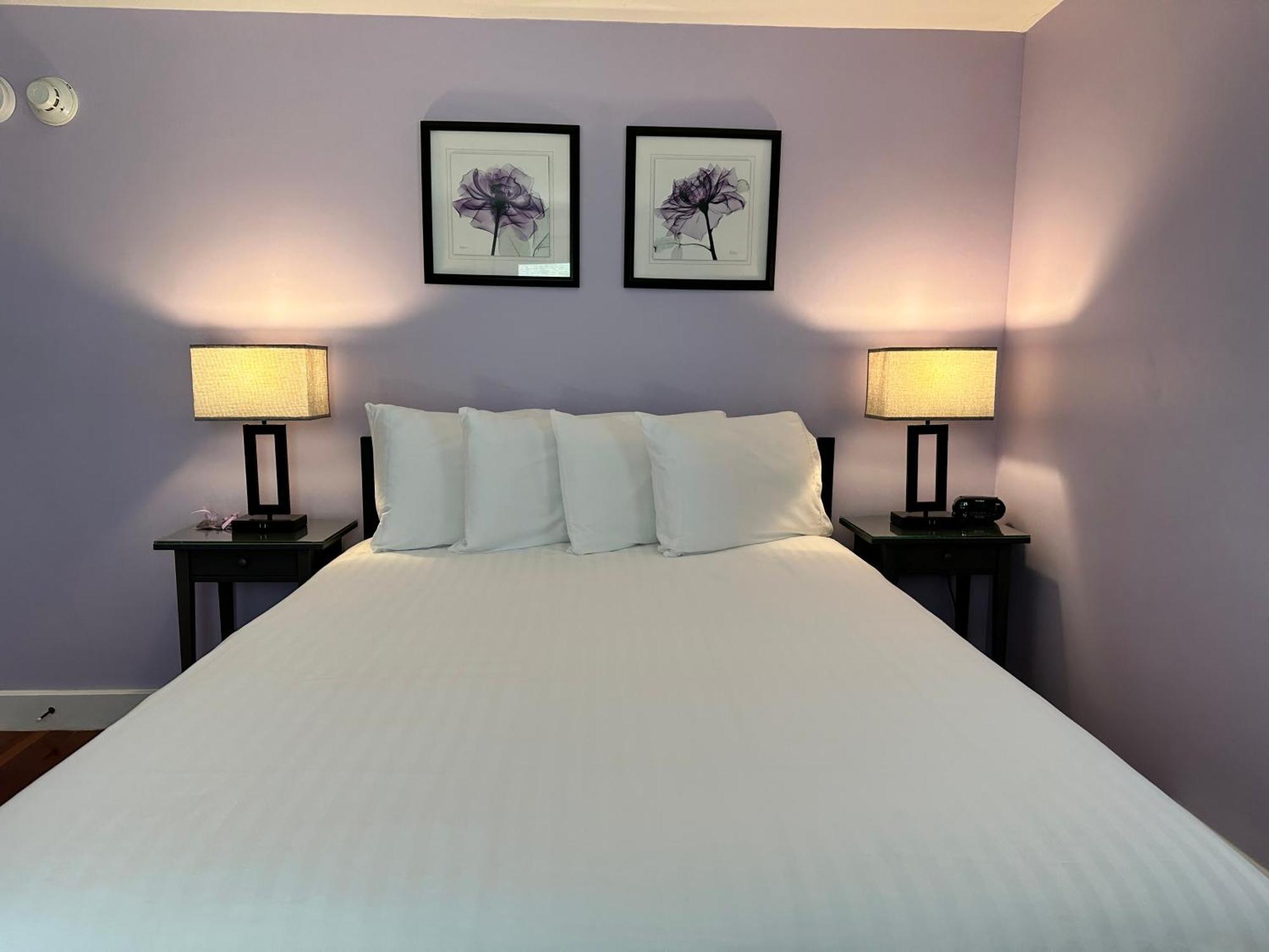 Dragonfly Guest House Ogunquit Εξωτερικό φωτογραφία