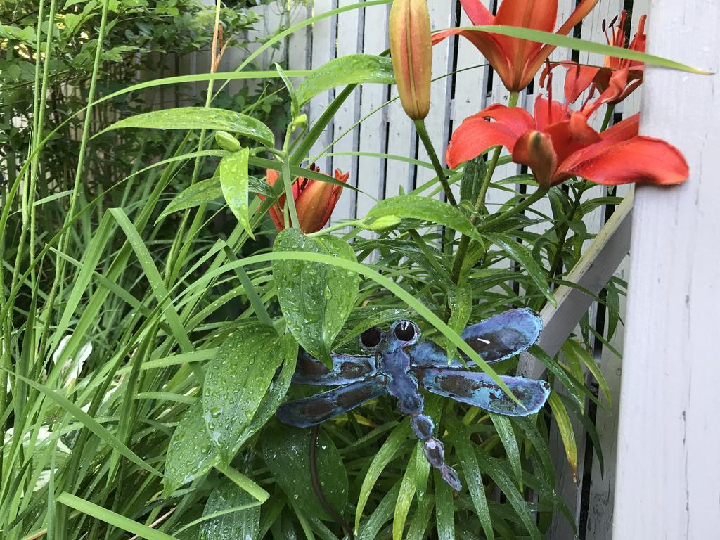 Dragonfly Guest House Ogunquit Εξωτερικό φωτογραφία