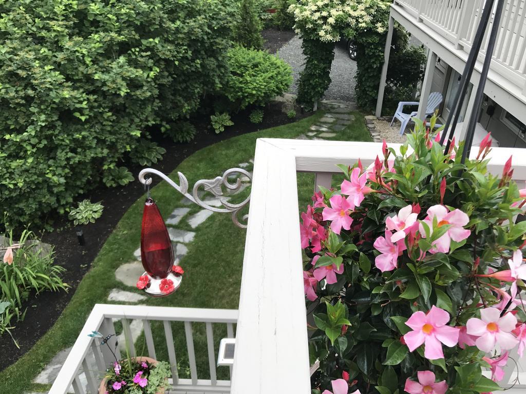 Dragonfly Guest House Ogunquit Εξωτερικό φωτογραφία