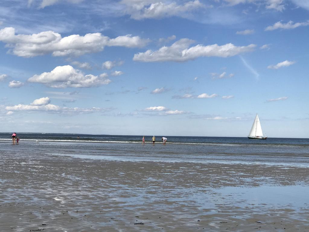 Dragonfly Guest House Ogunquit Εξωτερικό φωτογραφία