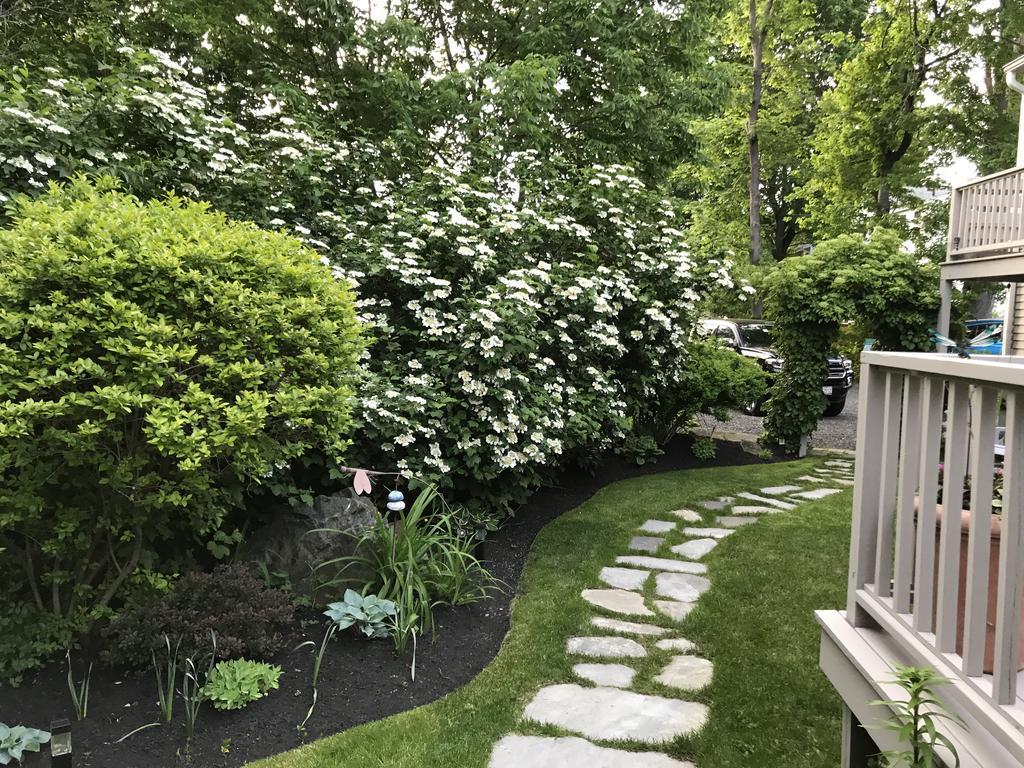 Dragonfly Guest House Ogunquit Εξωτερικό φωτογραφία