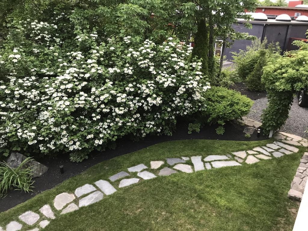 Dragonfly Guest House Ogunquit Εξωτερικό φωτογραφία