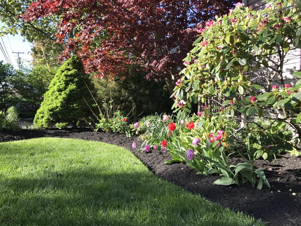 Dragonfly Guest House Ogunquit Εξωτερικό φωτογραφία